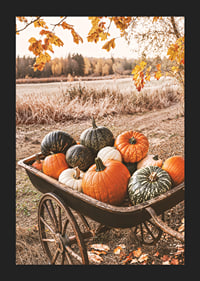 Poster med en bild på en kärra med pumpor i olika färger-5