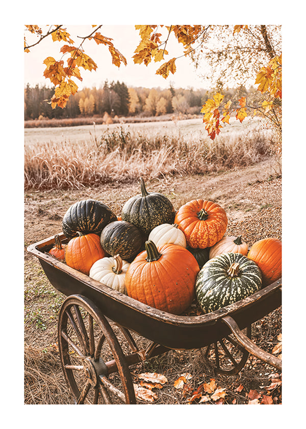 Affiche Wagon Of Pumpkins