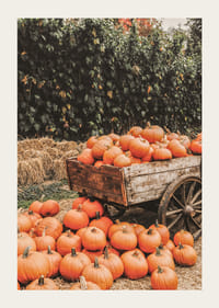 Poster med en bild på pumpor på en kärra-3