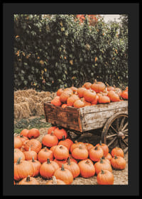 Poster med en bild på pumpor på en kärra-4