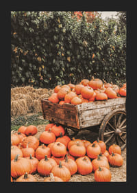 Poster med en bild på pumpor på en kärra-5