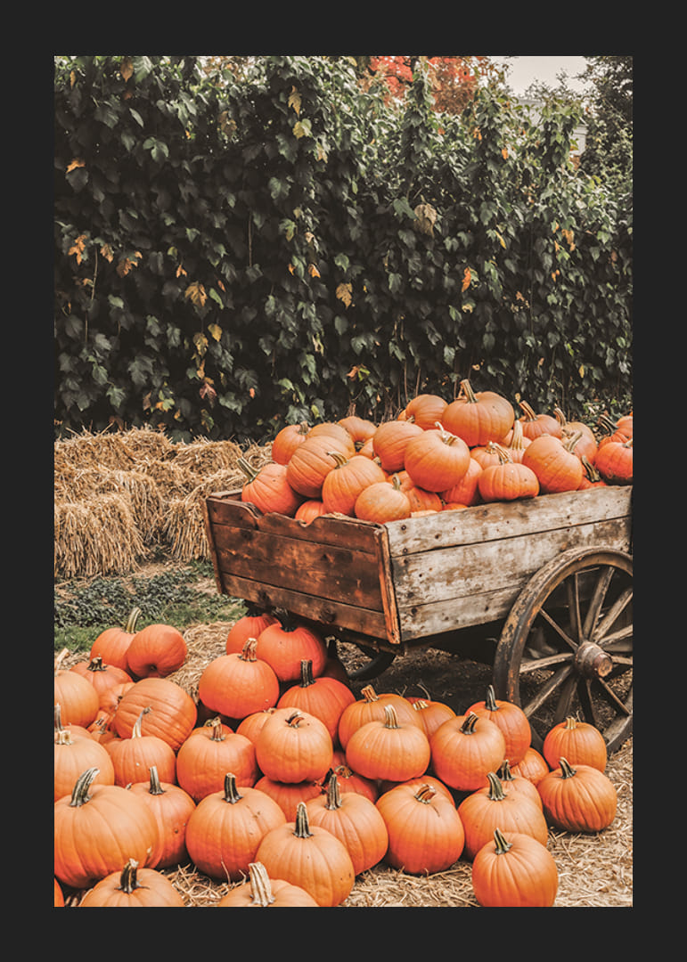 Poster med en bild på pumpor på en kärra-12