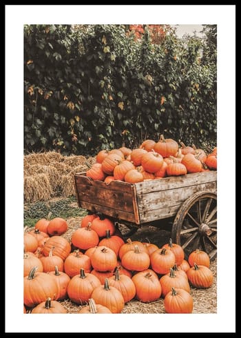 Poster Bountiful Pumpkin