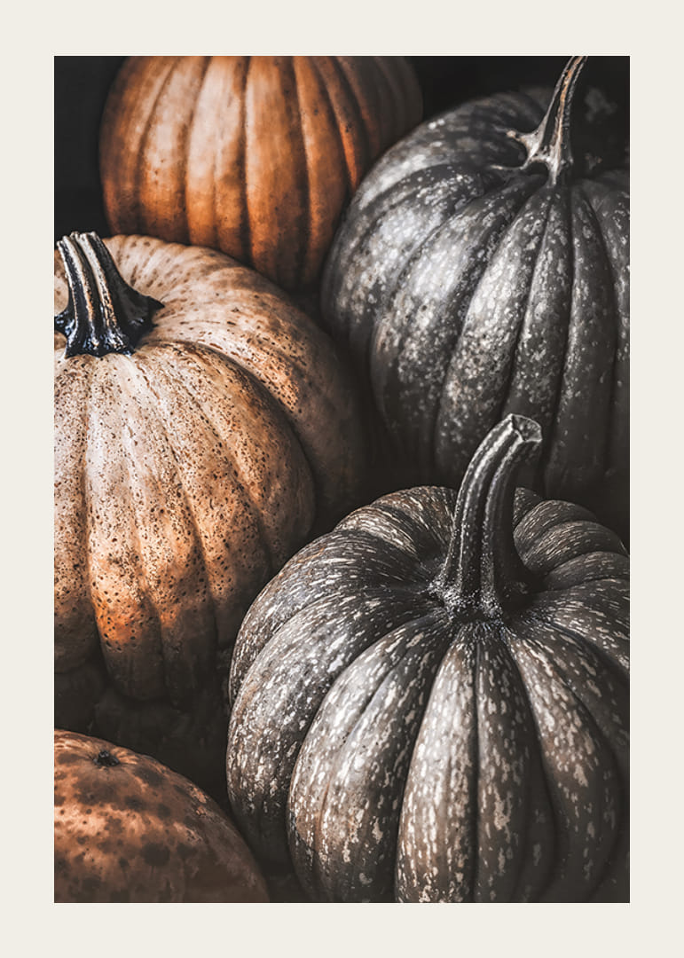 Poster med en bild på rustika pumpor-12