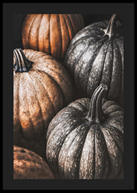 Poster with a picture of rustic pumpkins-4