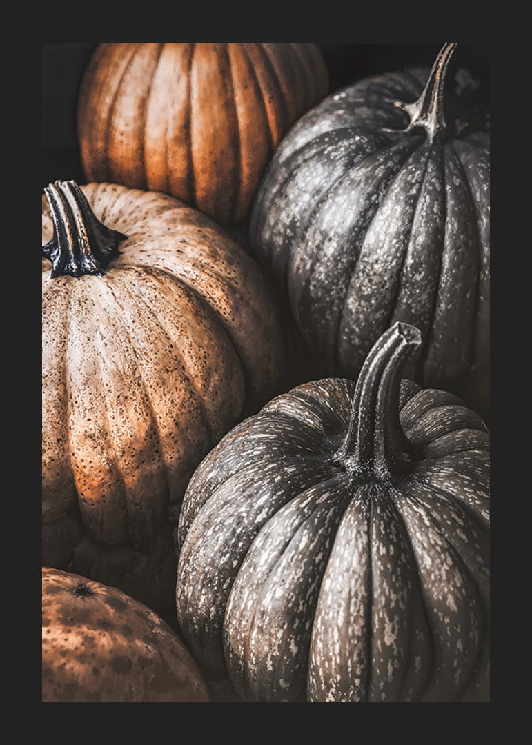 Poster with a picture of rustic pumpkins-12
