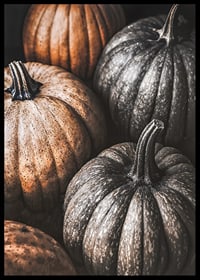 Poster with a picture of rustic pumpkins-6