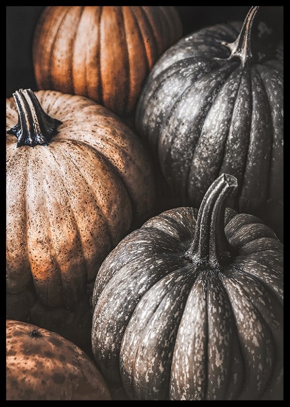 Poster with a picture of rustic pumpkins-12