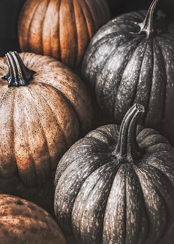 Poster with a picture of rustic pumpkins-12