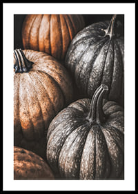 Poster with a picture of rustic pumpkins-0