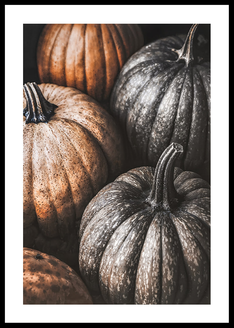 Poster with a picture of rustic pumpkins-12