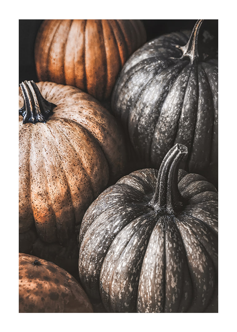 Poster with a picture of rustic pumpkins-12