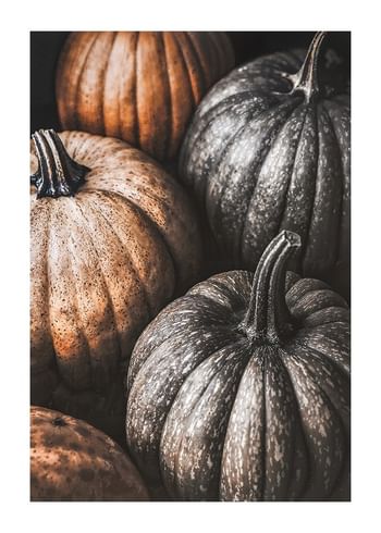 Poster Rustic Pumpkin Harvest