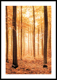Poster with a photograph of a golden autumn forest-0