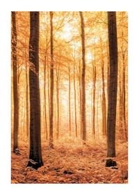 Poster cu o fotografie a unei păduri aurii de toamnă-1