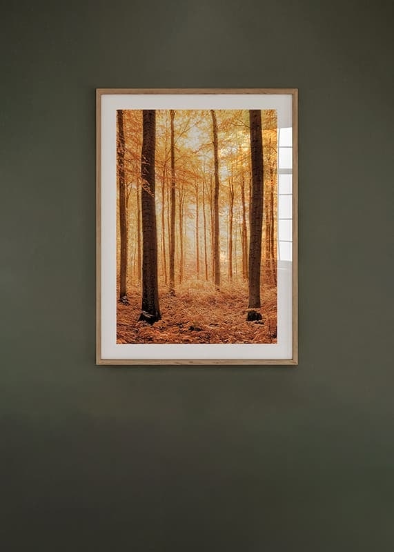 Poster with a photograph of a golden autumn forest-12
