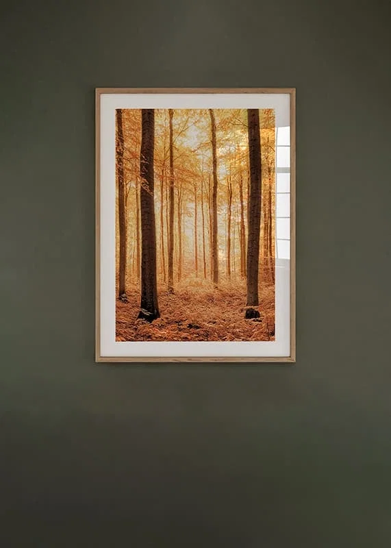 Poster Radiant Autumn Woods crossfade