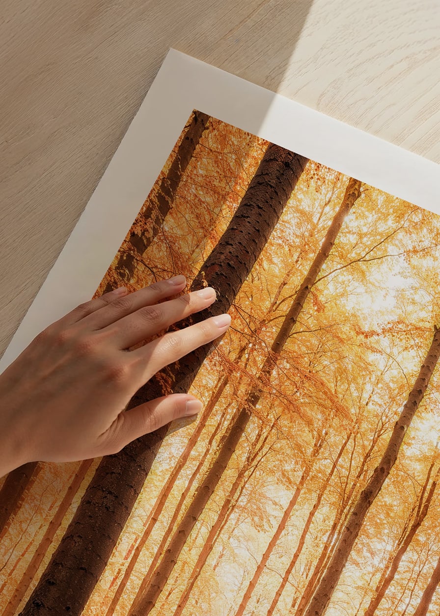 Poster with a photograph of a golden autumn forest-12
