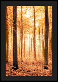Poster with a photograph of a golden autumn forest-4