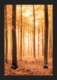 Poster with a photograph of a golden autumn forest-5