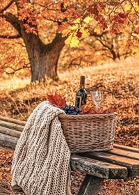 Poster med en bild på en picknick-korg med vin och druvor i höstmiljö-7