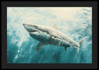 En plakat av en majestetisk hvithai som svømmer gjennom de sollyse dypet-4