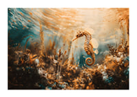 A poster of a golden seahorse floating through a sunlit underwater landscape-1