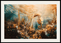 En plakat av en gyllen sjøhest som flyter gjennom et solbelyst undervannslandskap-2