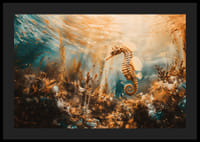 En plakat av en gyllen sjøhest som flyter gjennom et solbelyst undervannslandskap-4
