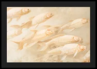 A poster with soft, golden fish in motion, creating a sense of calm and balance.-4