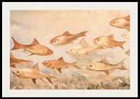 A poster with fish in soft, earthy tones moving harmoniously through the water-2