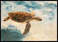 Een harmonieuze poster van een majestueuze zeeschildpad die door het heldere water glijdt-2