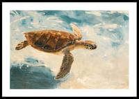 Een harmonieuze poster van een majestueuze zeeschildpad die door het heldere water glijdt-0