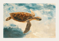 En harmonisk plakat af en majestætisk havskildpadde, der glider gennem det klare vand-3