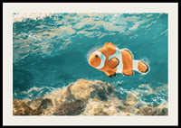 Une affiche d'un charmant poisson-clown nageant dans l'eau cristalline-2