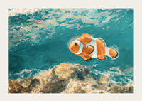 Une affiche d'un charmant poisson-clown nageant dans l'eau cristalline-3