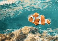Une affiche d'un charmant poisson-clown nageant dans l'eau cristalline-7