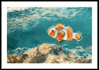 Une affiche d'un charmant poisson-clown nageant dans l'eau cristalline-0