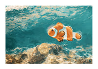 Une affiche d'un charmant poisson-clown nageant dans l'eau cristalline-1