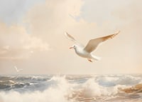 En poster av en mås i flykt över havets skummande vågor-7