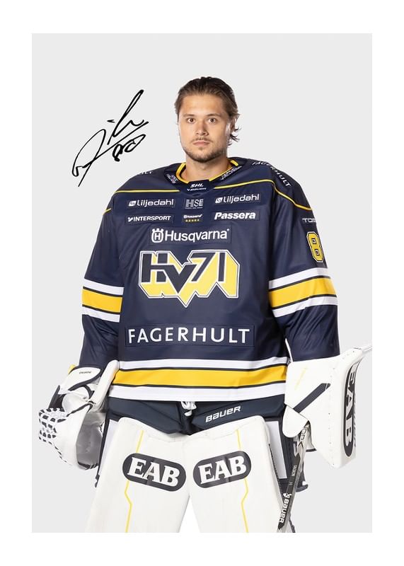Poster Frederik Dichow #80 HV71 2024/2025