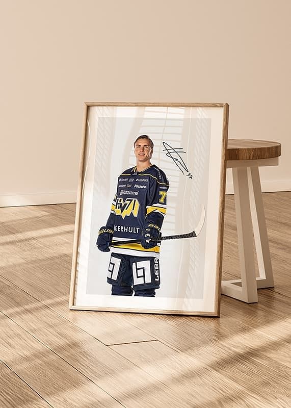 Herman Hansson #77 HV71 2024/2025-12