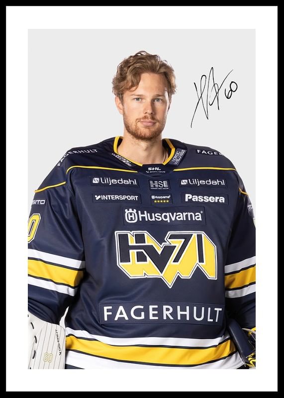Hugo Alnefelt #60 HV71 2024/2025-12