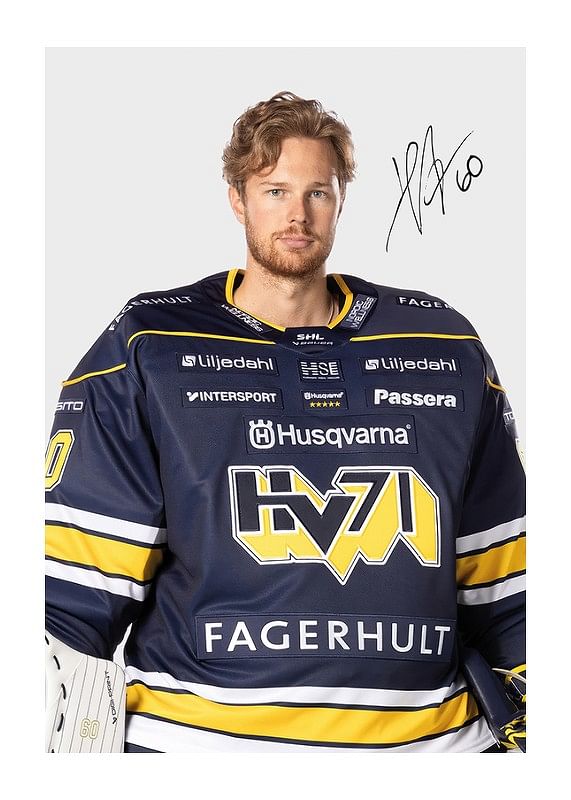Poster Hugo Alnefelt #60 HV71 2024/2025