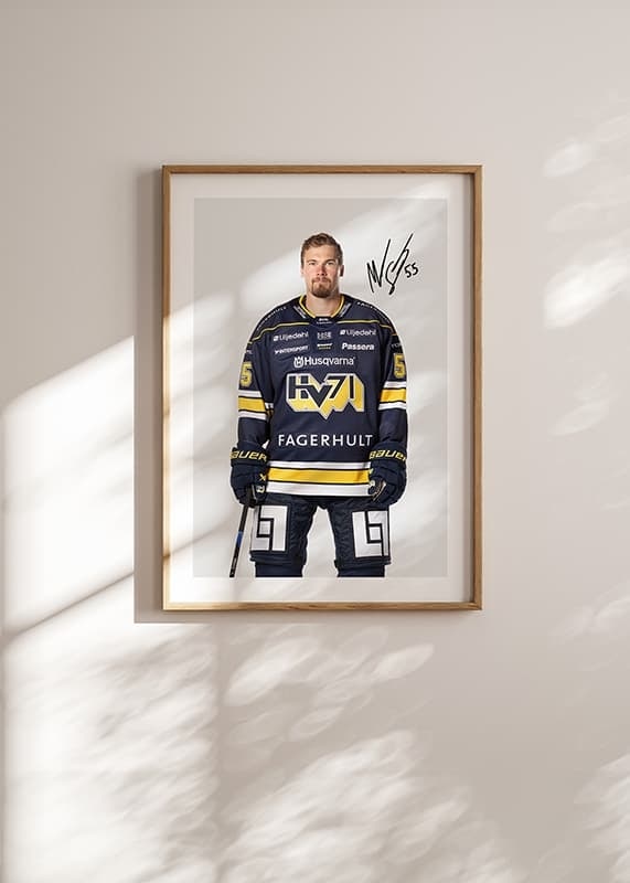 Mikael Seppäla #55 HV71 2024/2025-12