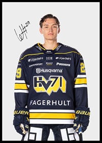 Willhelm Hallquisth #29 HV71 2024/2025-2