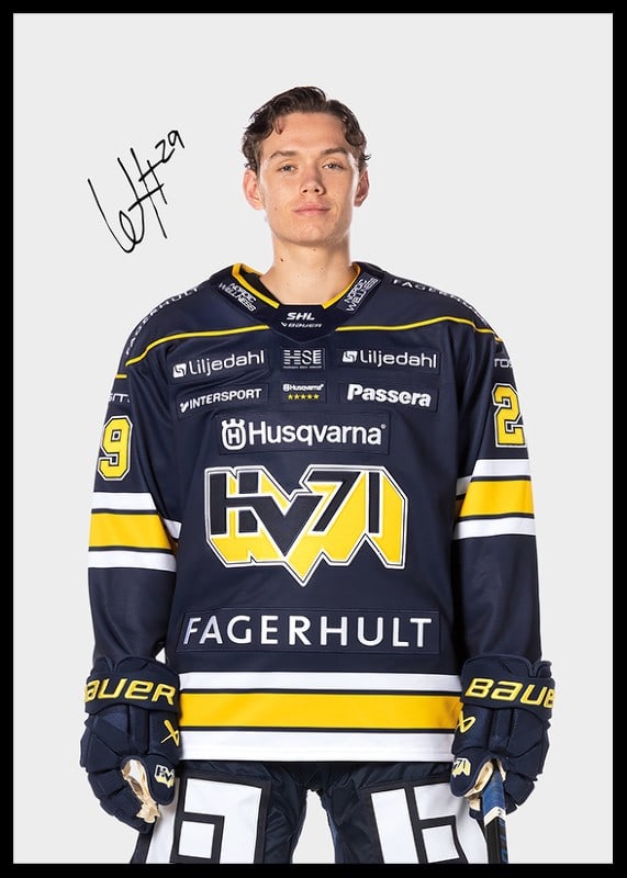 Willhelm Hallquisth #29 HV71 2024/2025-12