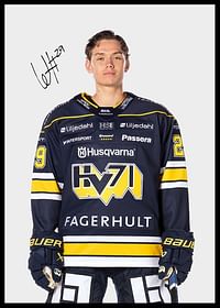 Willhelm Hallquisth #29 HV71 2024/2025-2