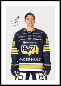 Willhelm Hallquisth #29 HV71 2024/2025-0