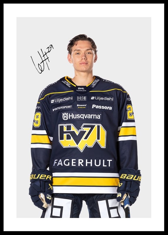 Willhelm Hallquisth #29 HV71 2024/2025-12